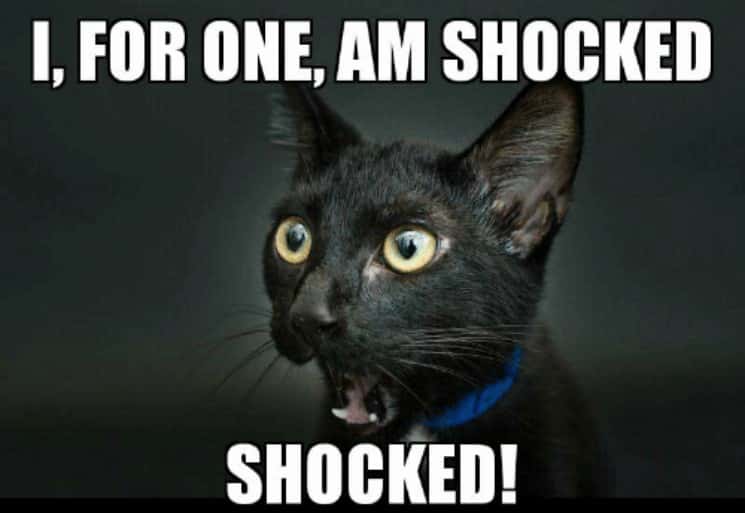 Fired On The Spot facts