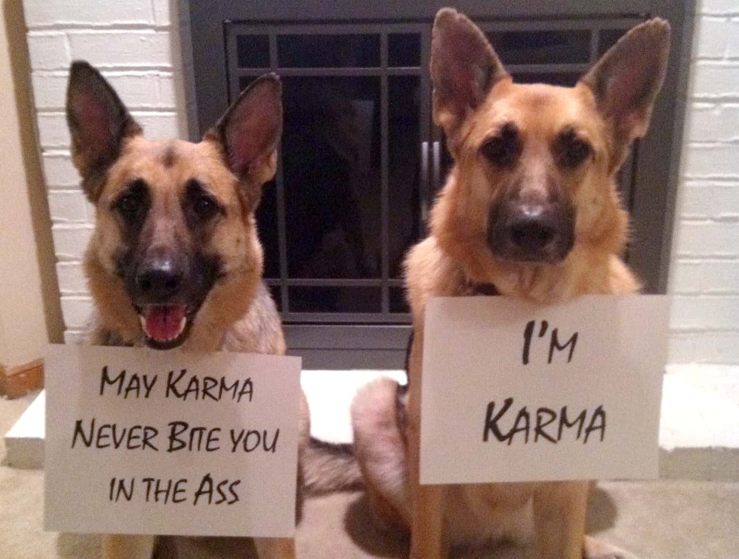Total Jerks Receiving Instant Karma facts