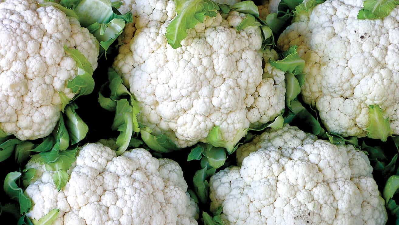 Salvador Dali, The Supreme Surrealist Facts