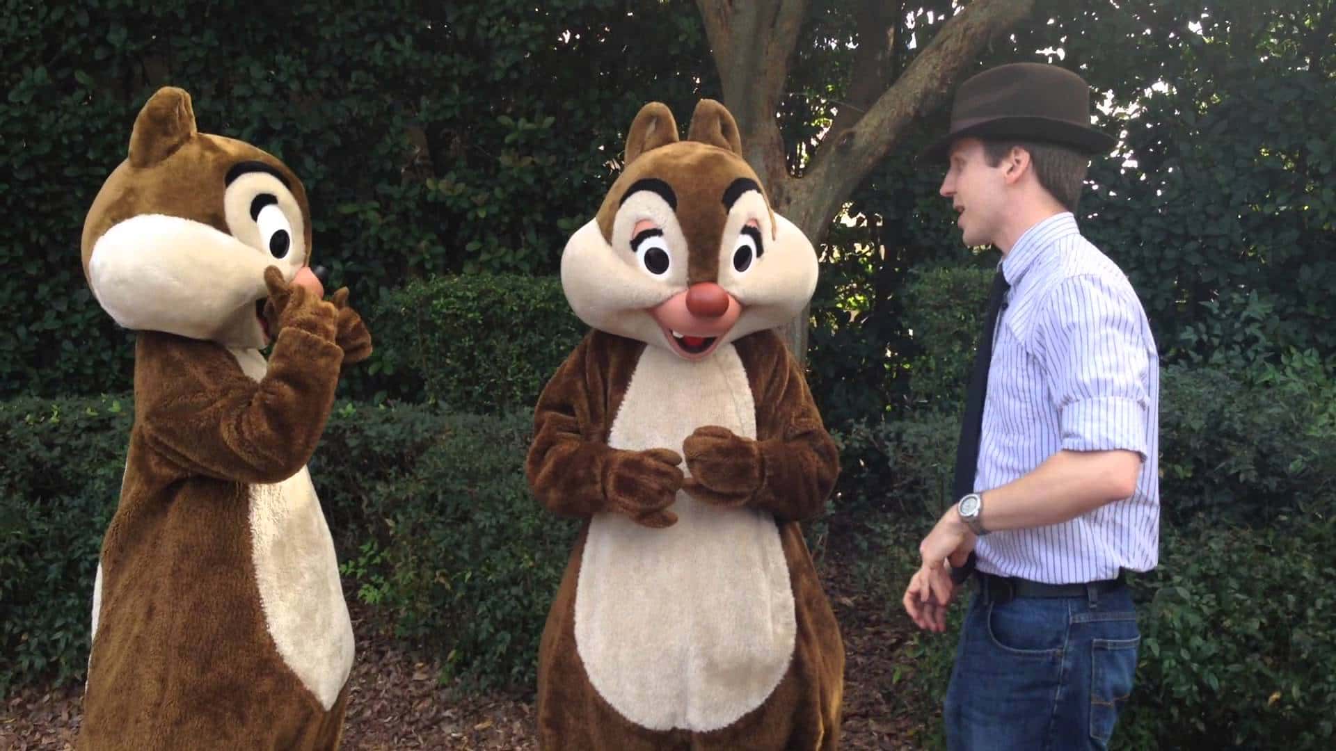 Mistaken Identity facts 