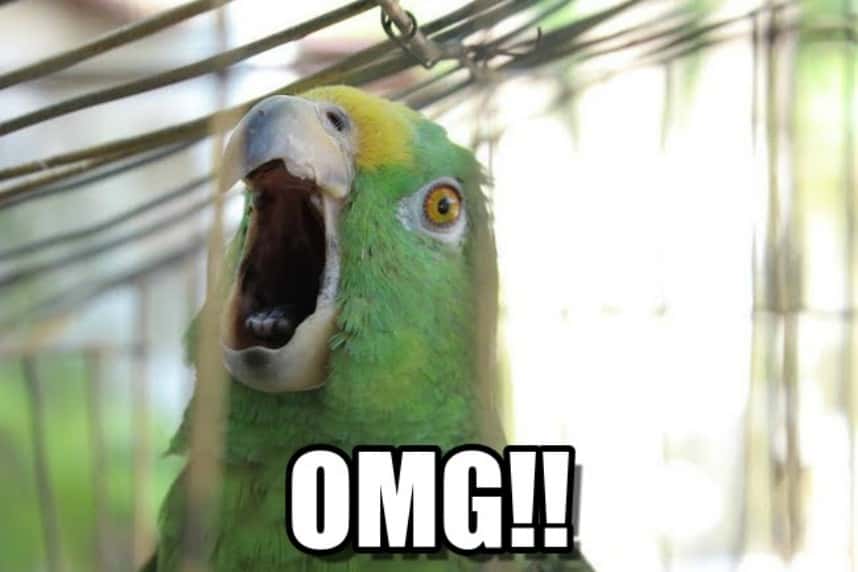 Experiences That Truly Moved facts