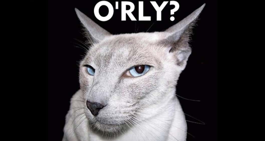 Mary, Queen of Scots facts