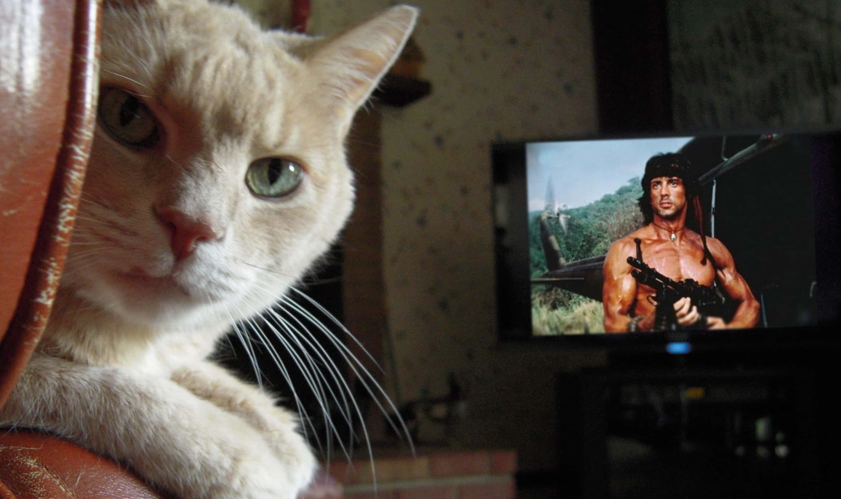 80s Action Films facts 