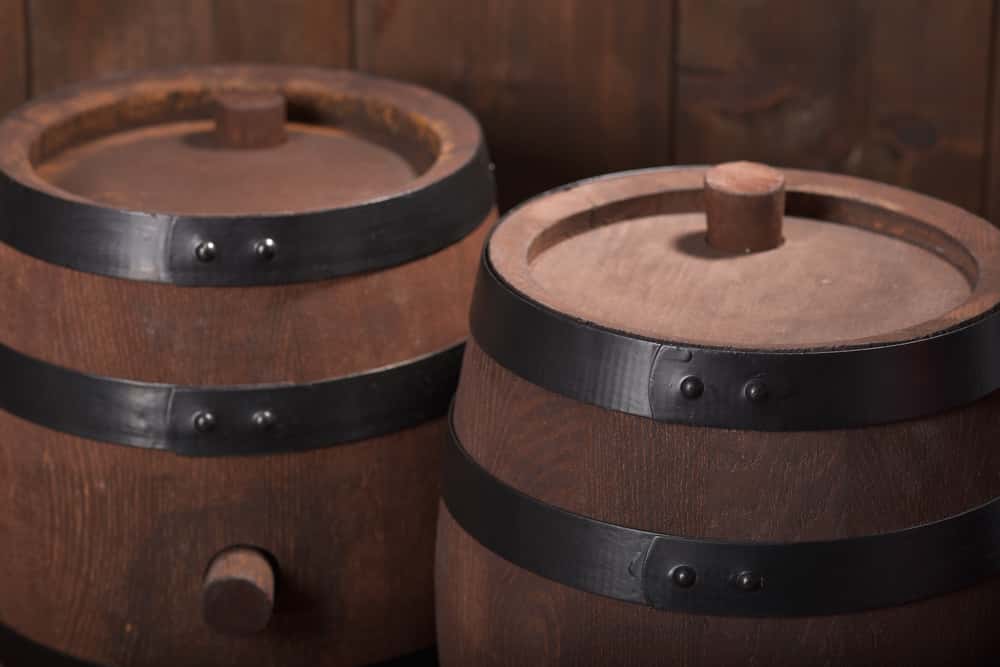 Mary, Queen of Scots facts