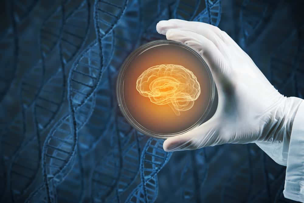 Mad Professors Facts