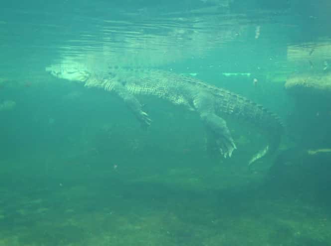 Sailors Unexplainable Things Facts