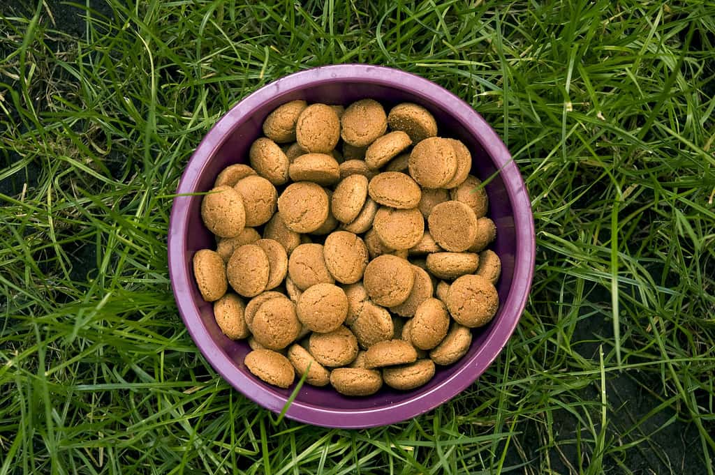 Weirdest Holiday Traditions Fats