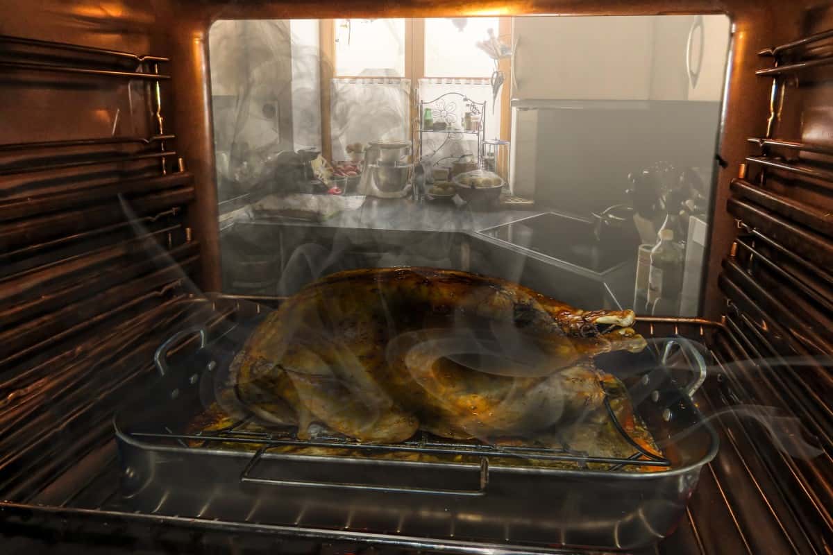 Trashiest Holiday facts