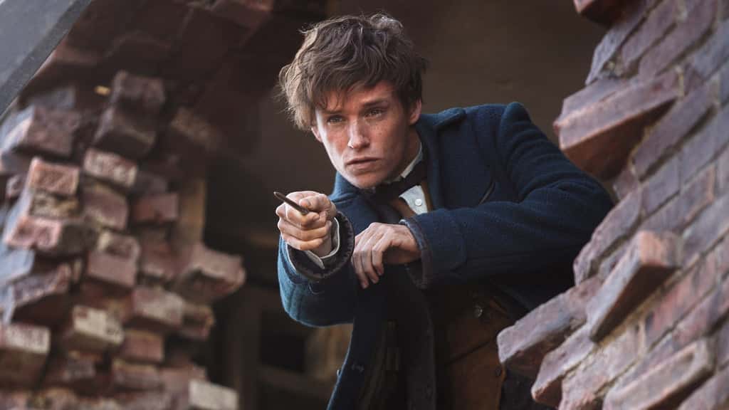 Newt Scamander facts 