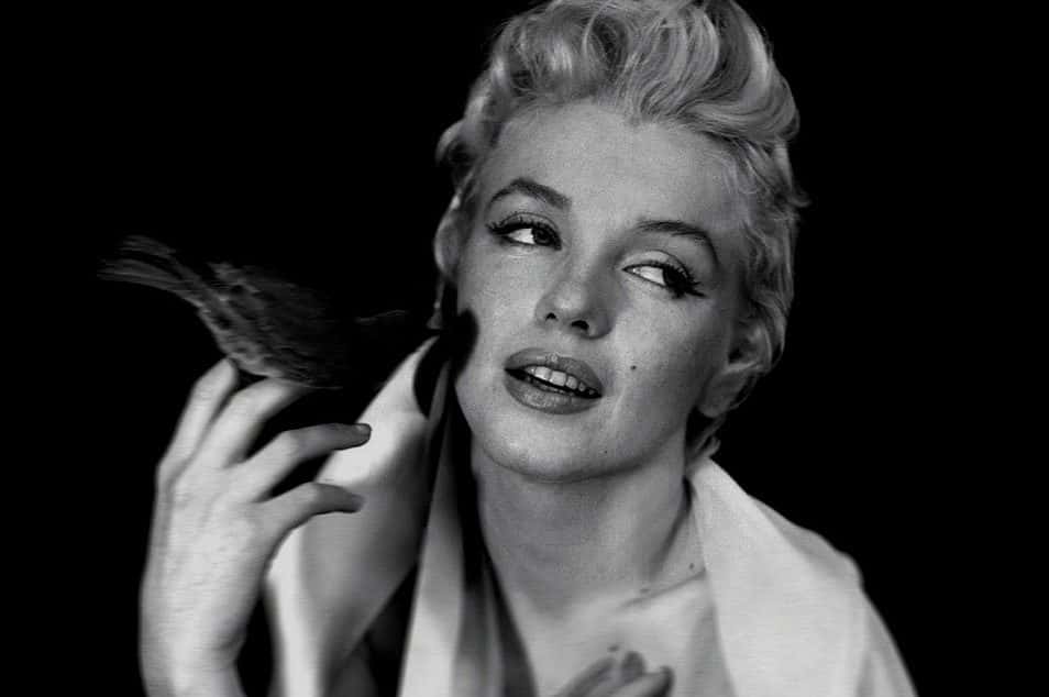 Provocative Facts About Shelley Winters, The Platinum Phenomenon