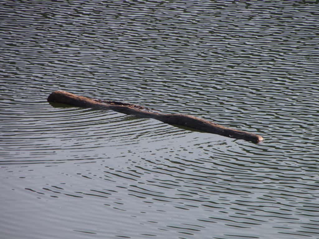 Sailors Unexplainable Things Facts