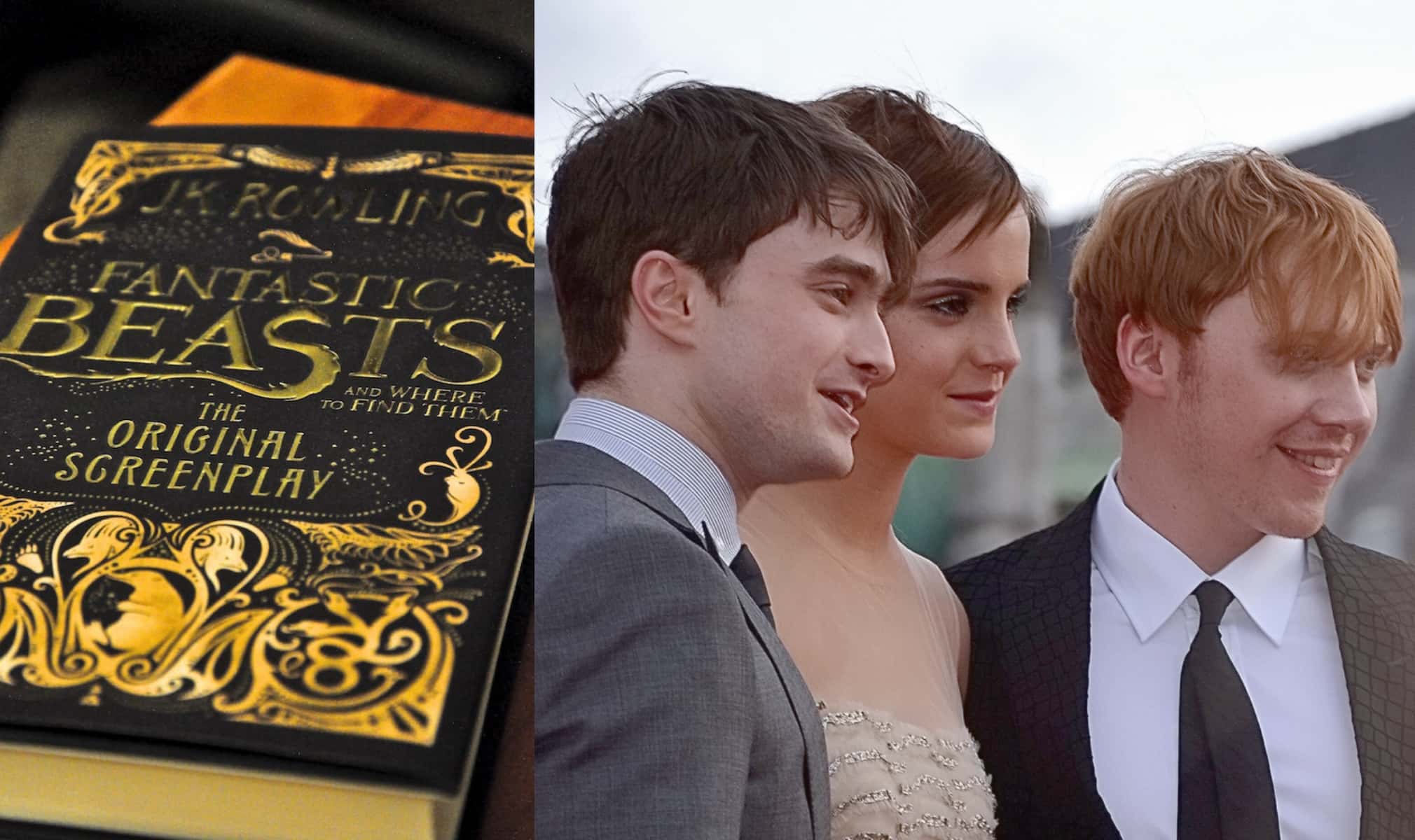 Newt Scamander facts 