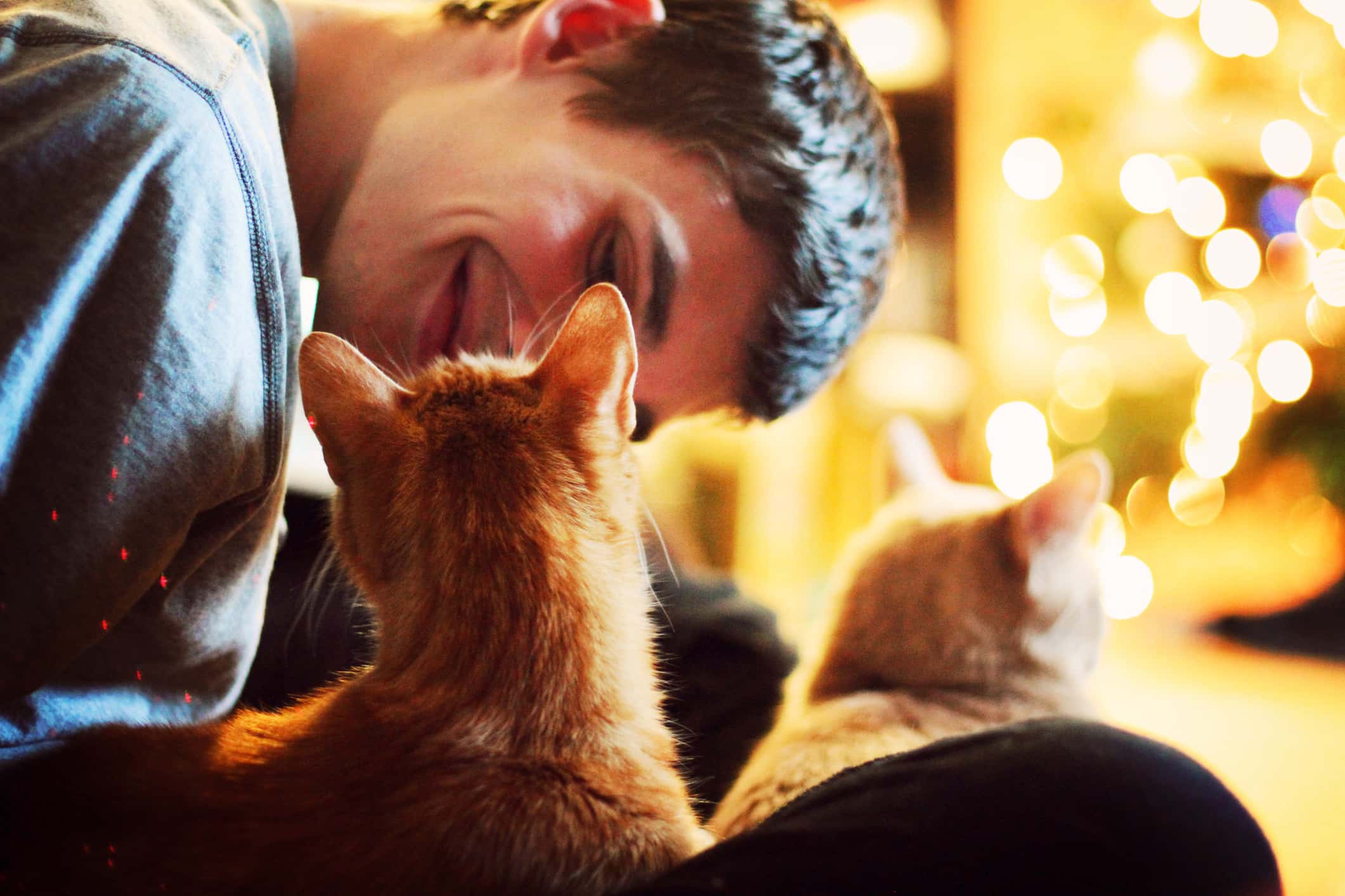 Their Animals Loved Them facts