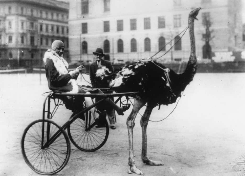 American singer and dancer Josephine Baker (1906 - 1975)