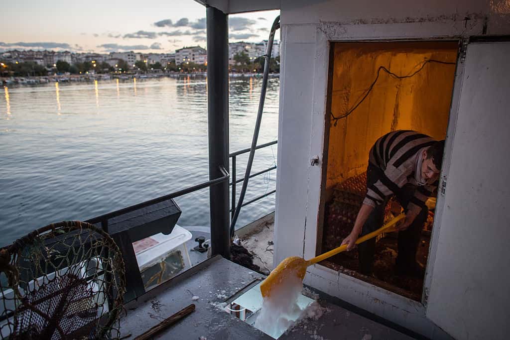 Creep Sailors Experience