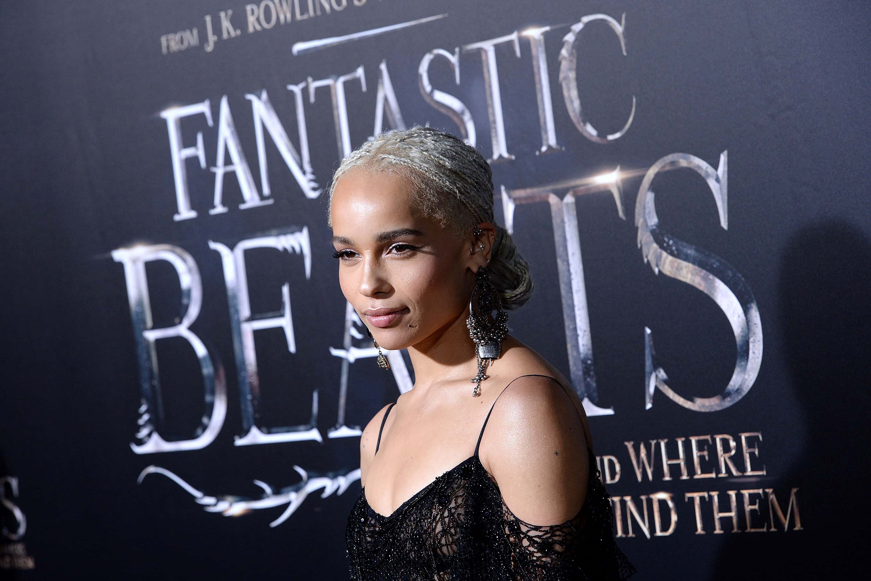 Newt Scamander facts 