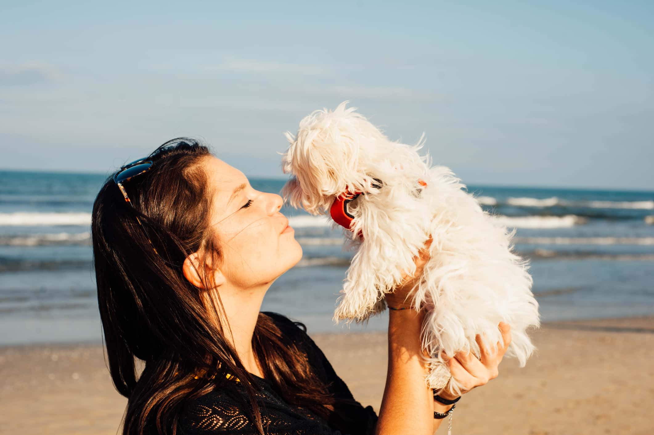 Their Animals Loved Them facts