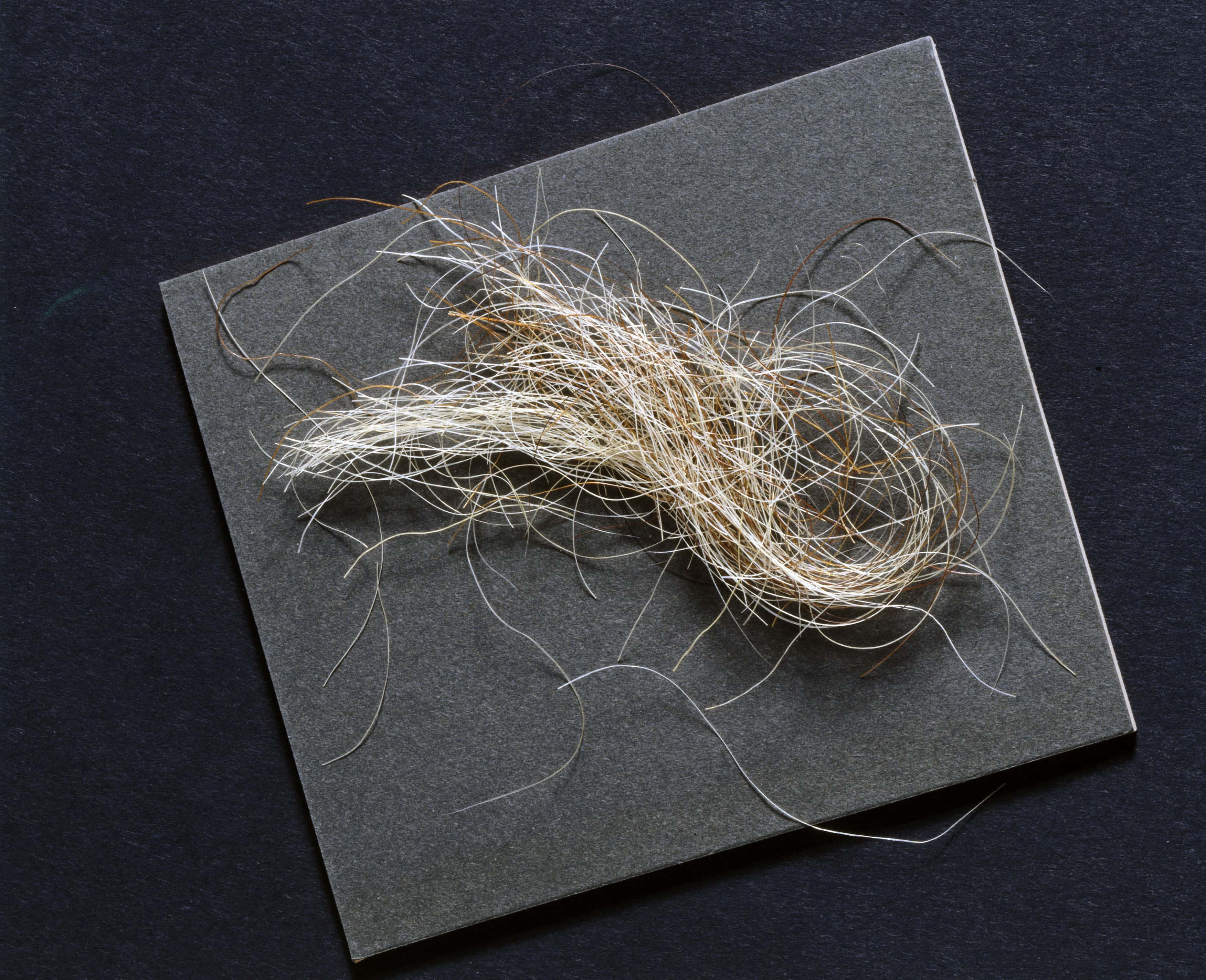 King George III facts