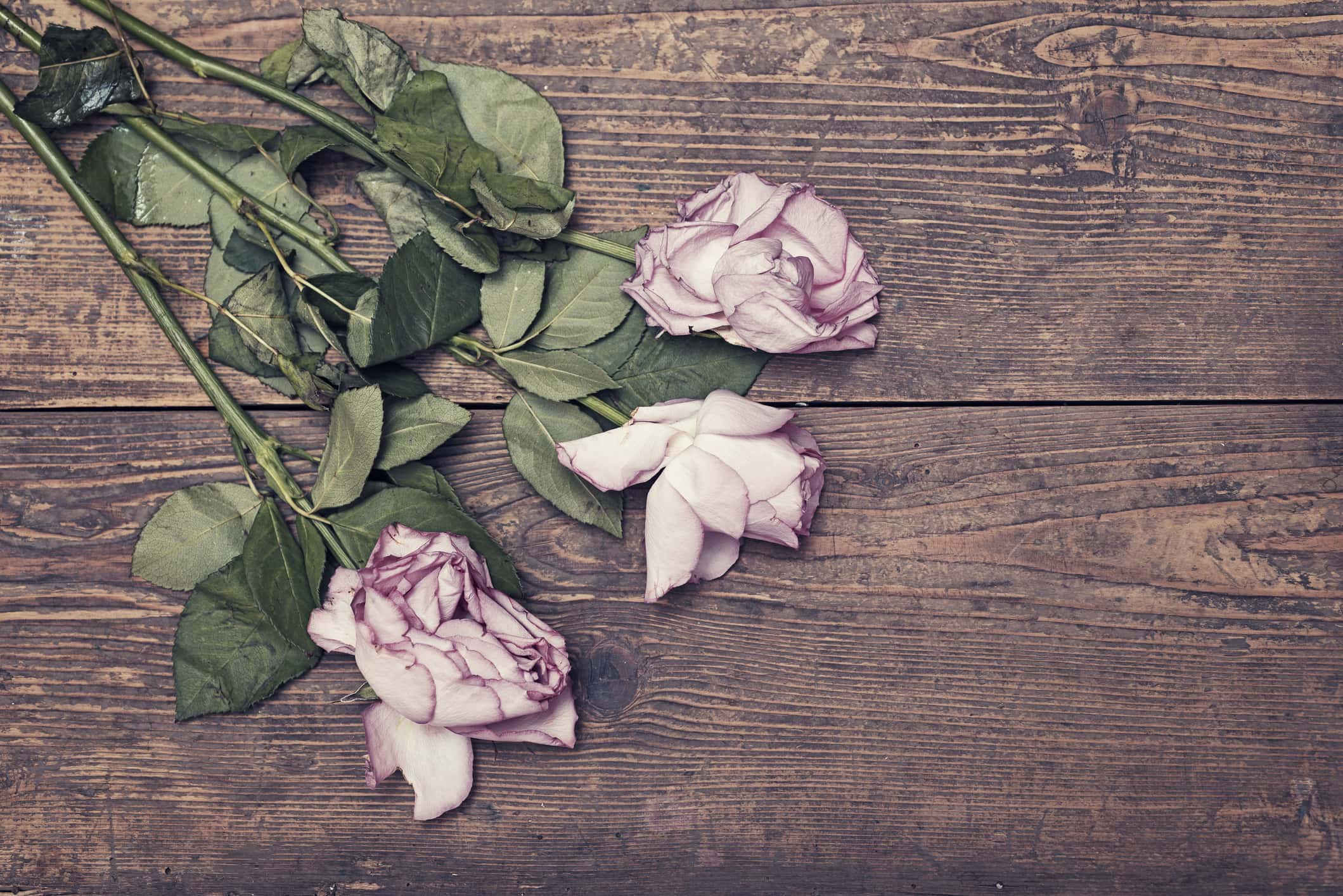 Edward the Black Prince facts