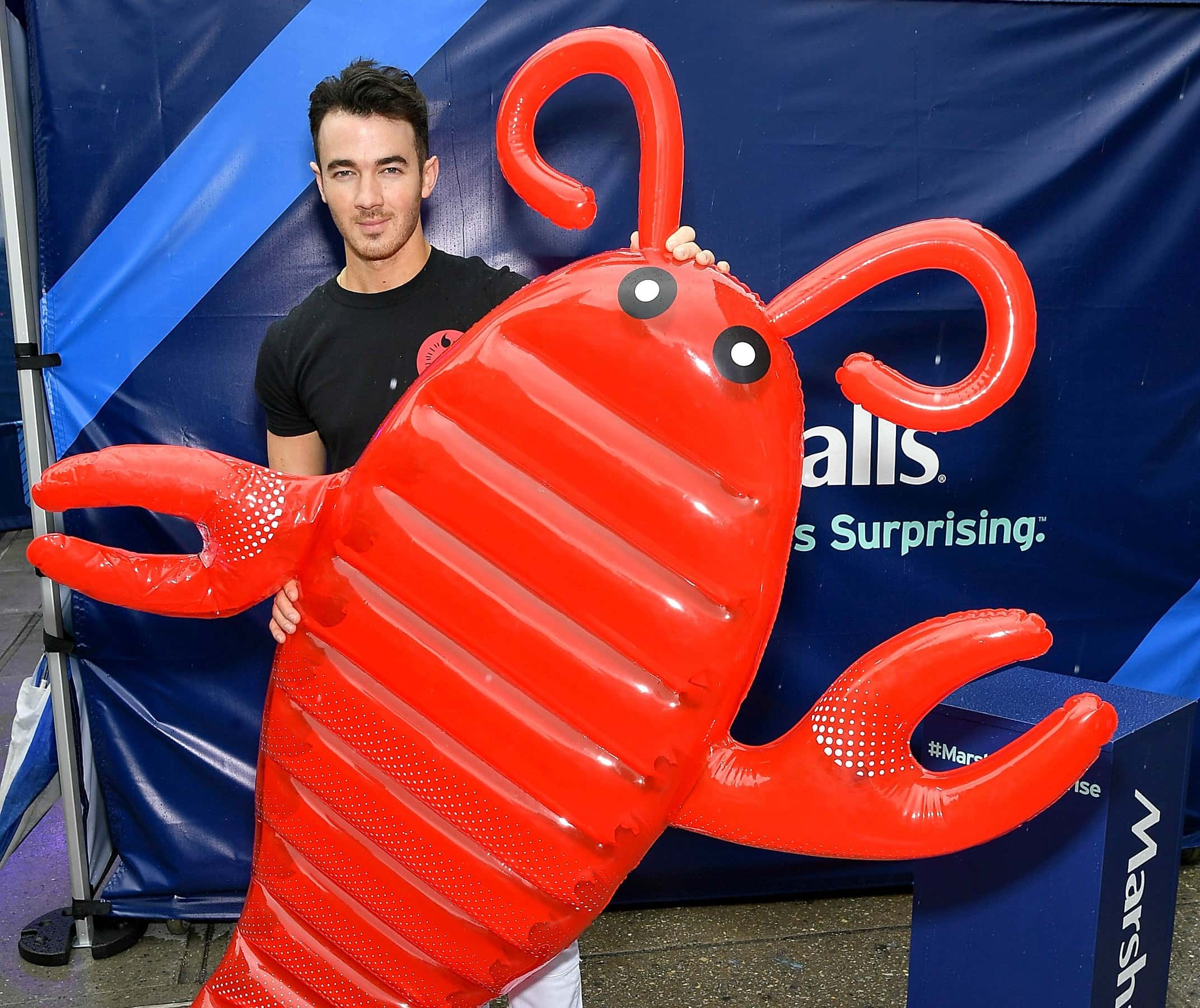 Jonas Brothers Facts