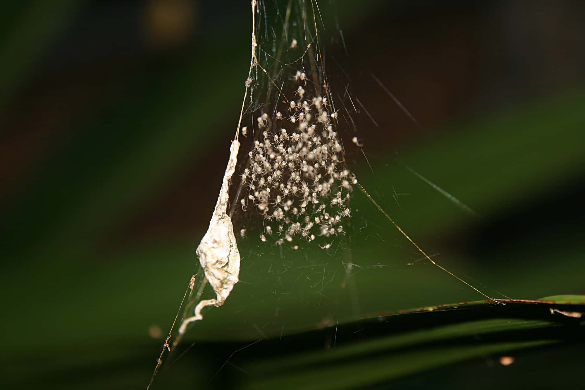 Sailors Unexplainable Things Facts