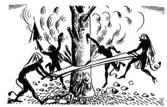 Bizarre Christmas Traditions Facts