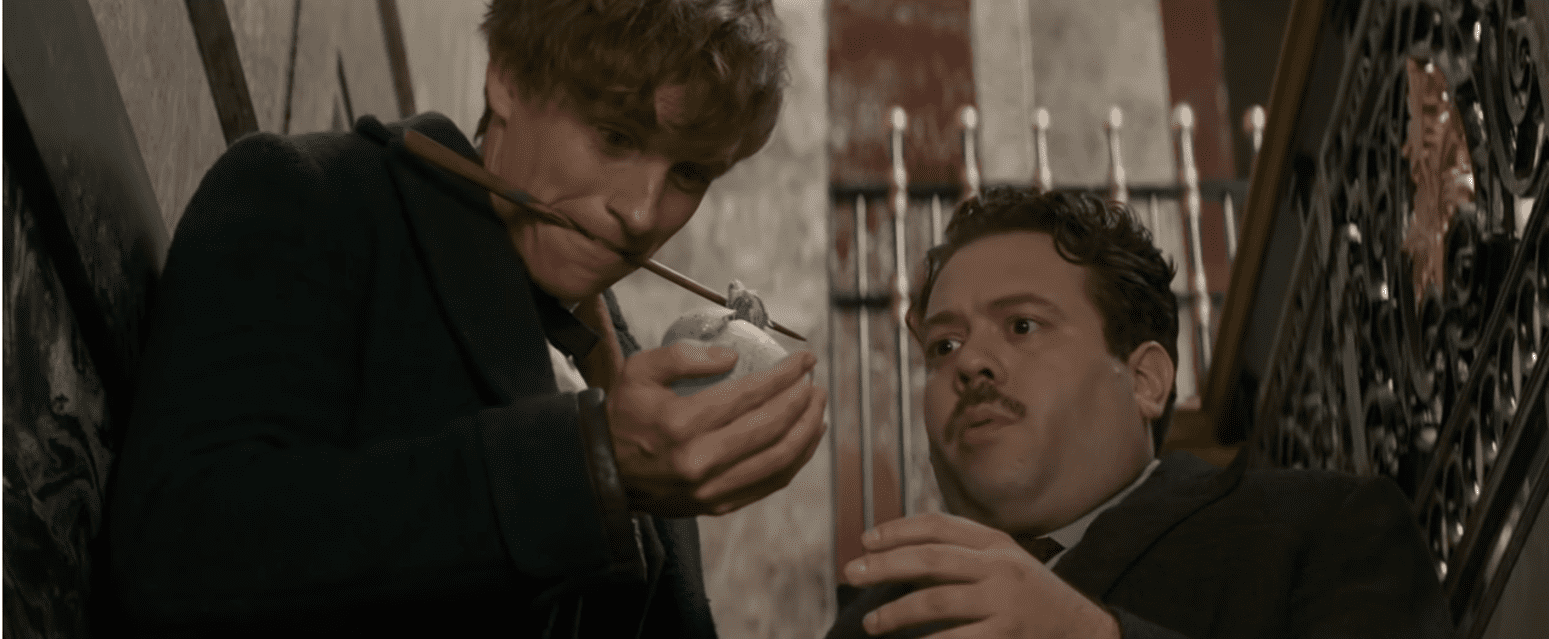 Newt Scamander facts 