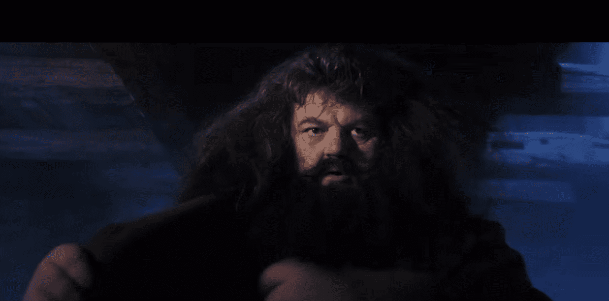 Newt Scamander facts