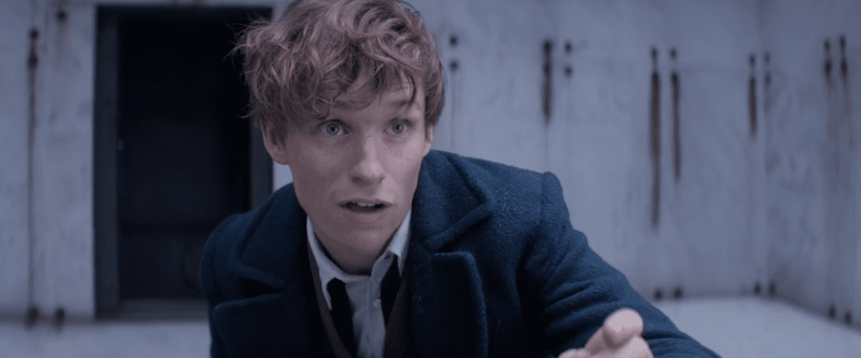 Newt Scamander facts