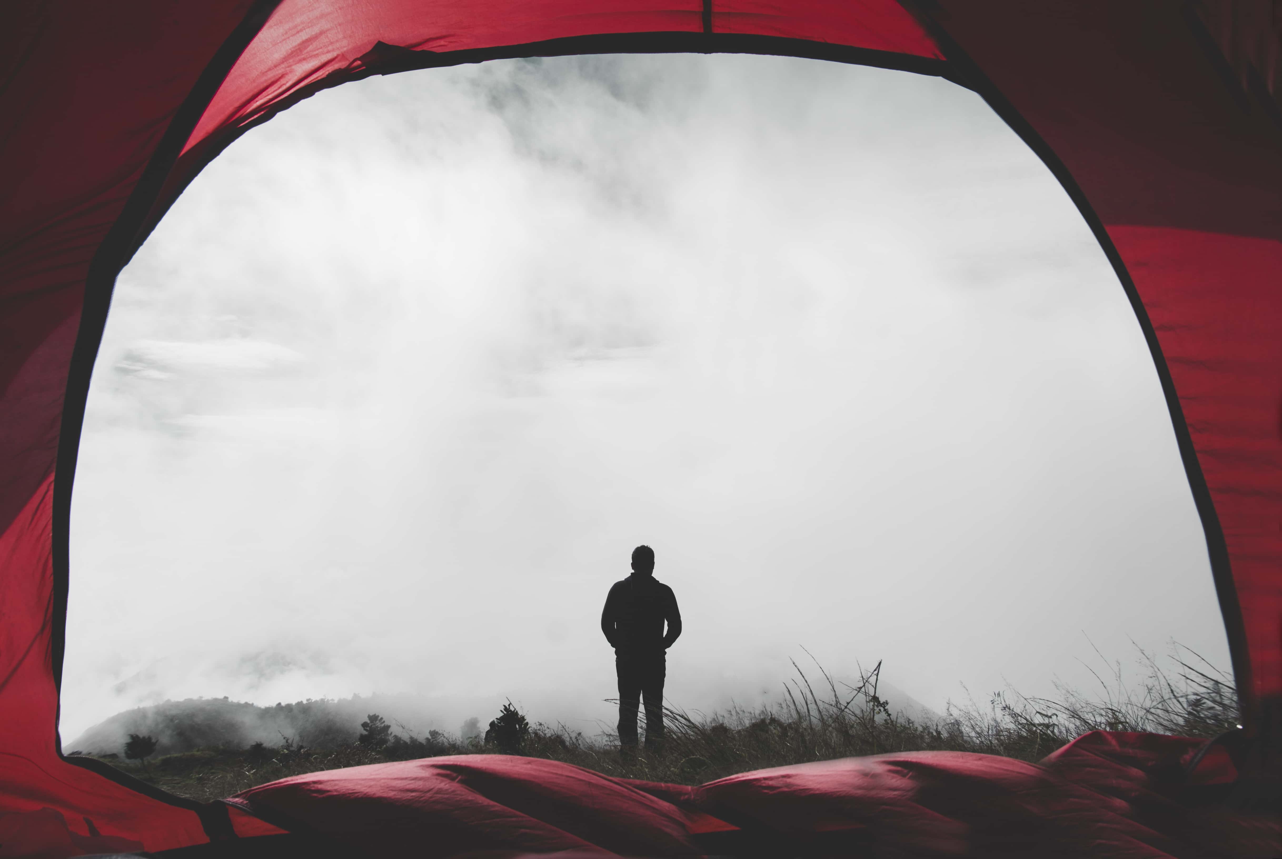 Things They’ve Seen But Can’t Explain facts