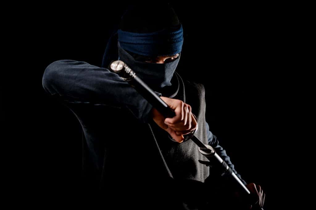 Sneaky Facts About Ninjas, Japan's Hidden Warriors Factinate