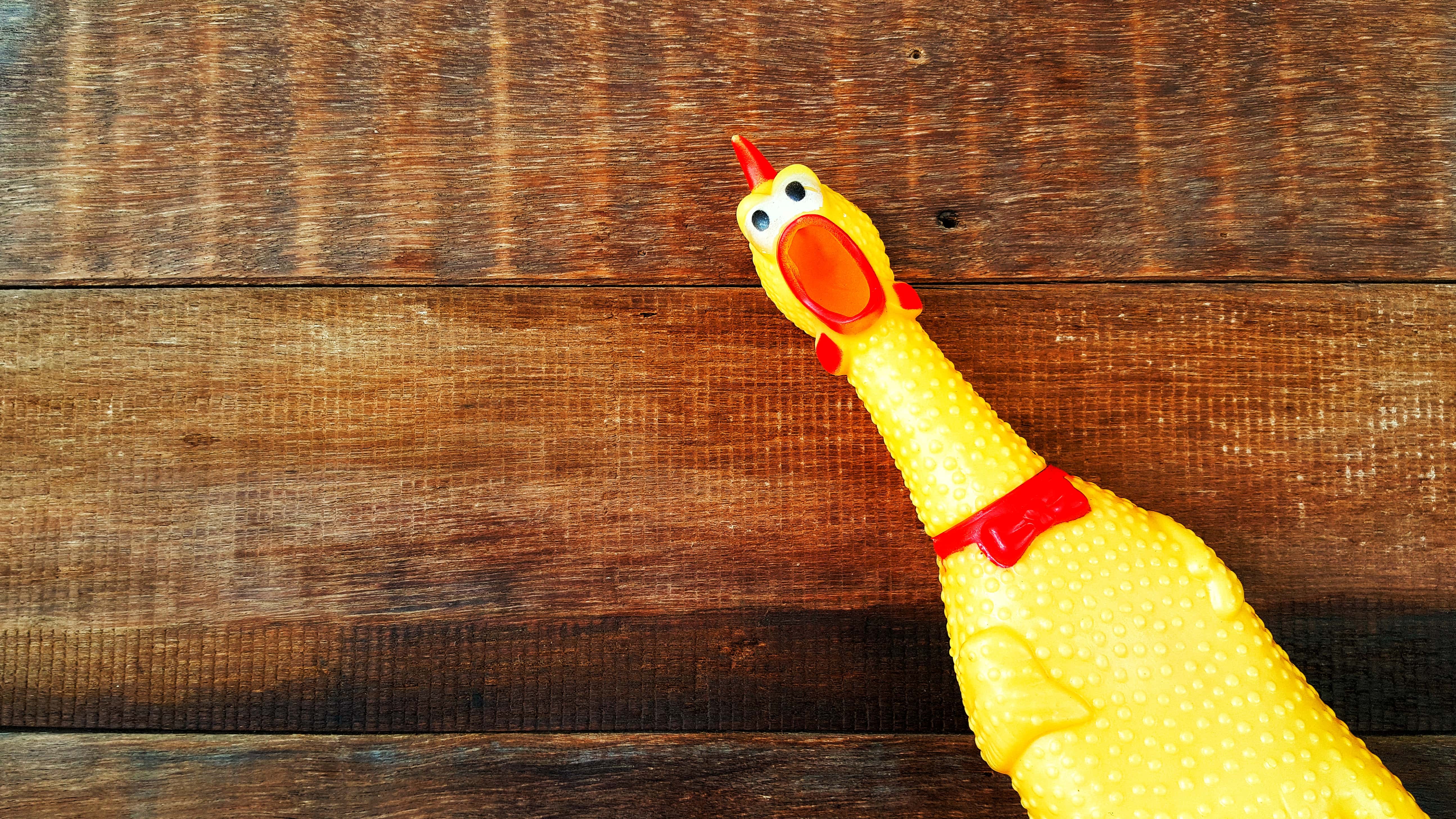 Trashiest Holiday facts