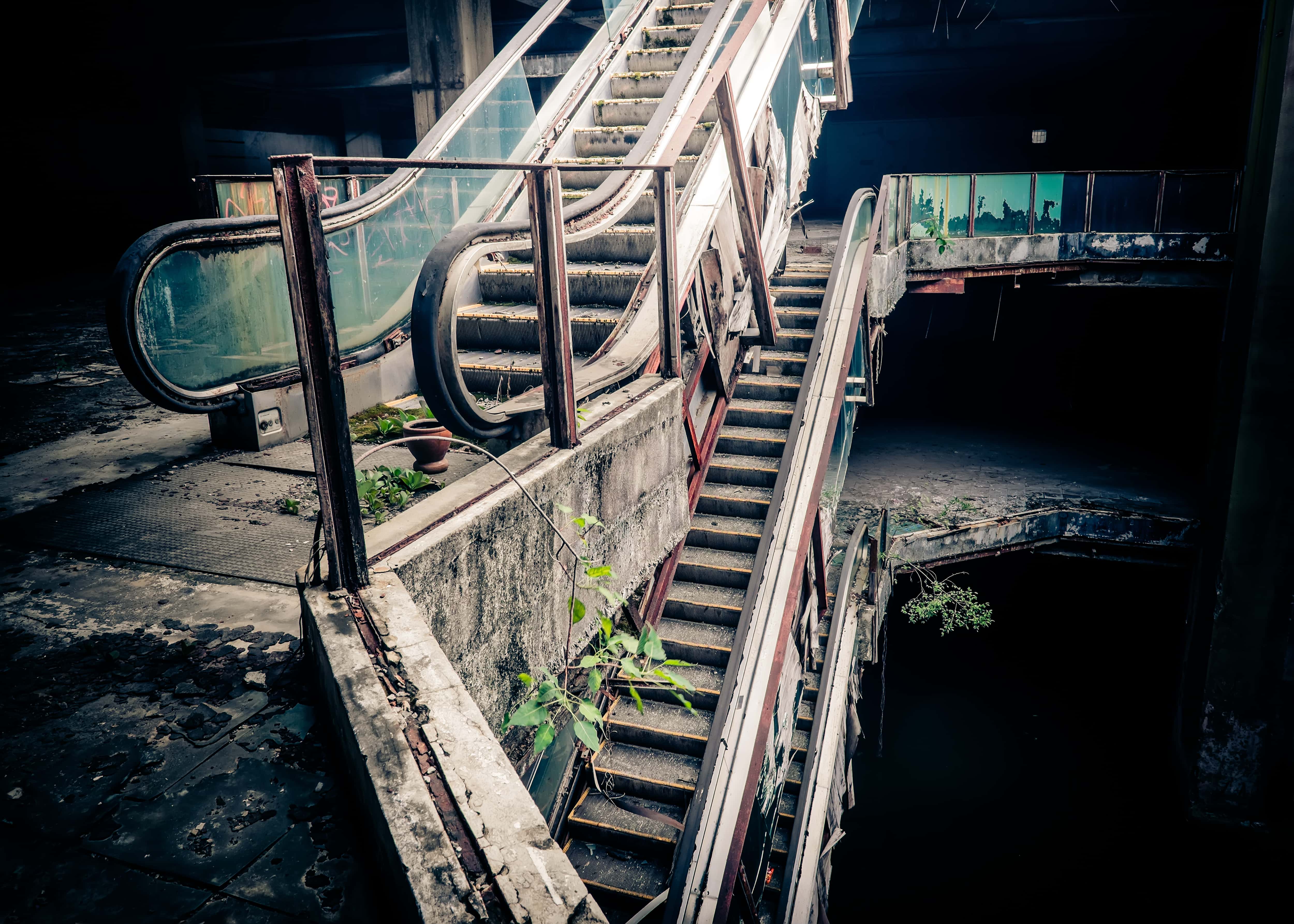 Things They’ve Seen But Can’t Explain facts