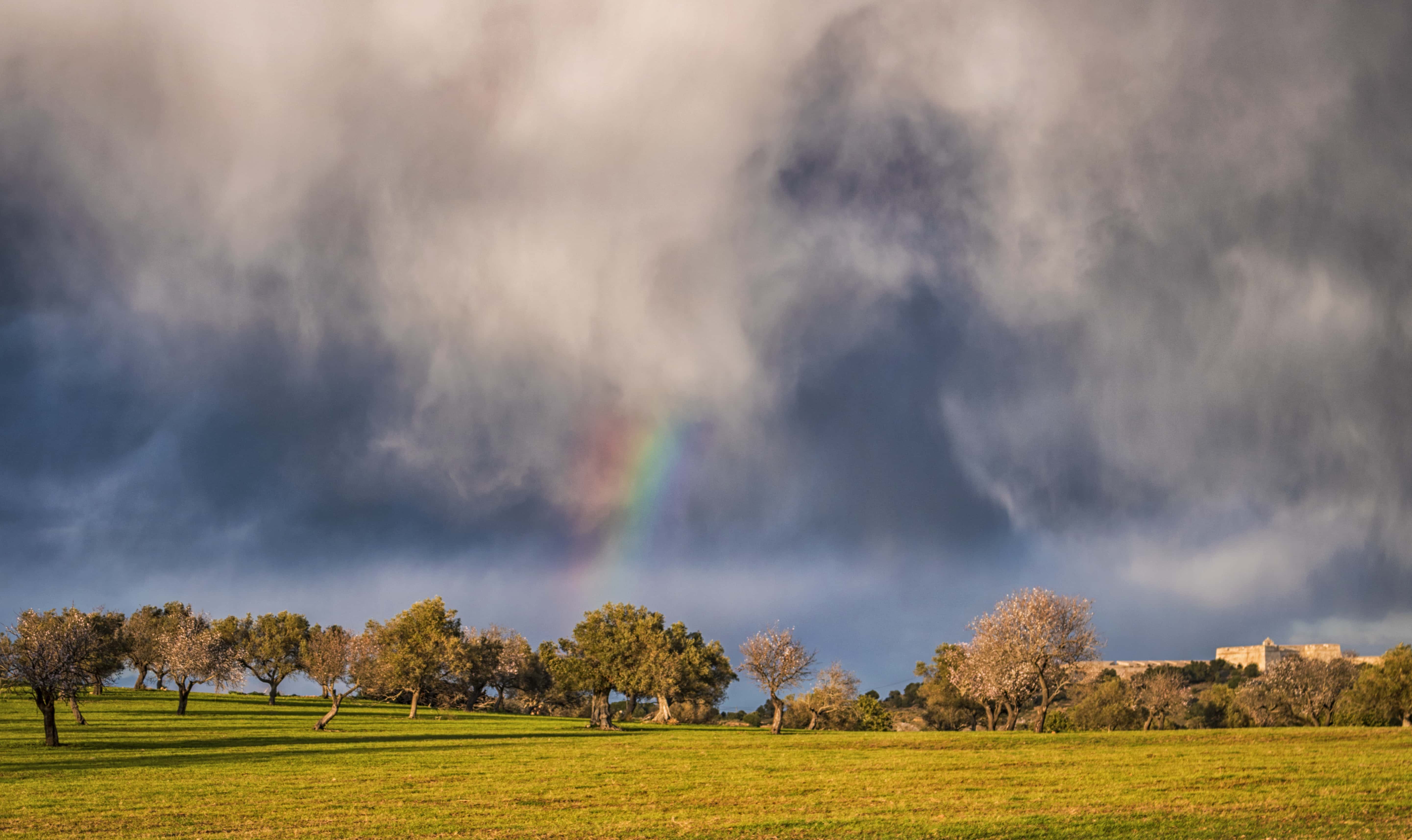 Things They’ve Seen But Can’t Explain facts