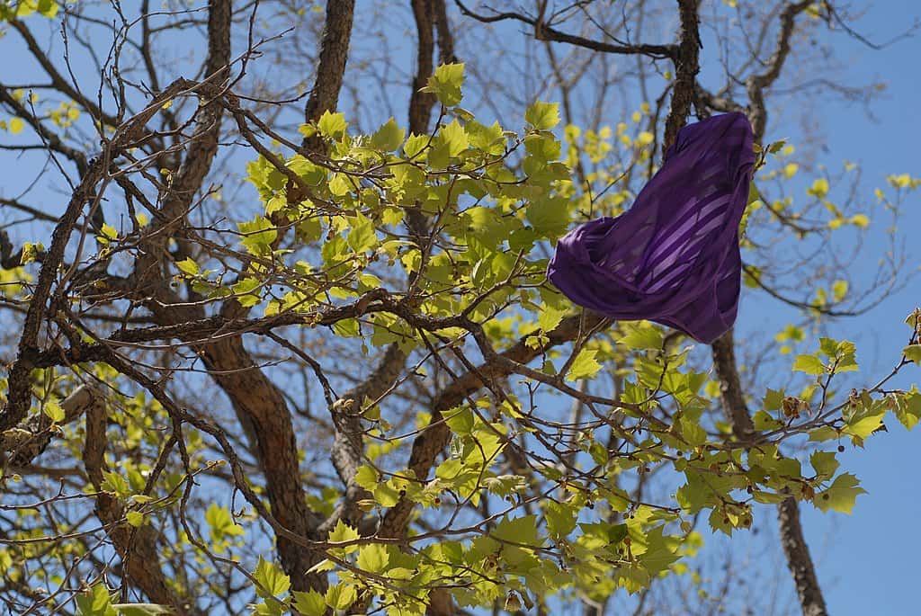 Madame de Pompadour Facts