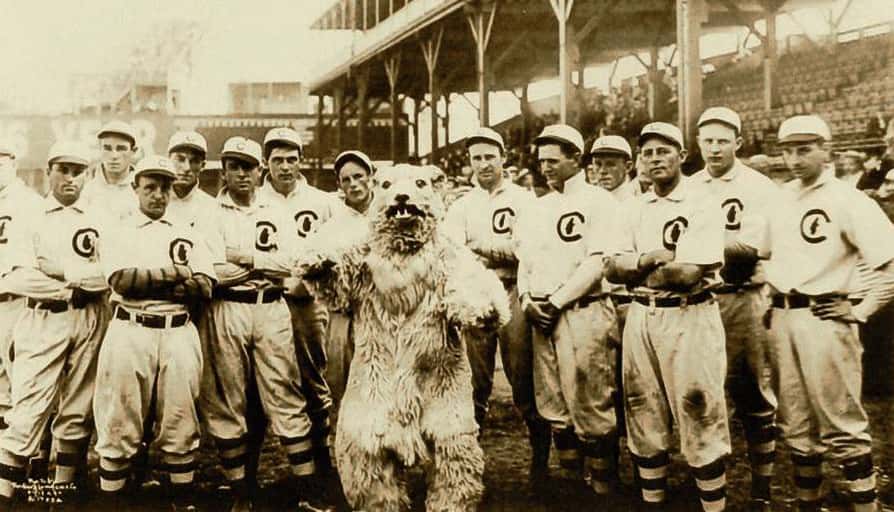 The Steve Bartman Incident Editorial