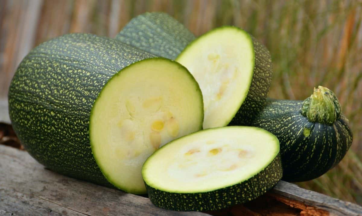 Really That Stupid facts