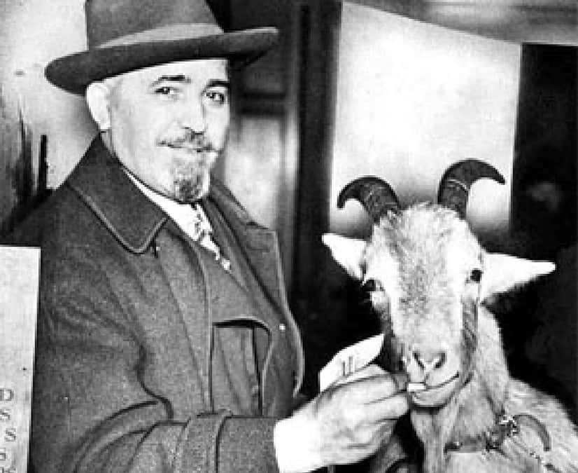 The Steve Bartman Incident