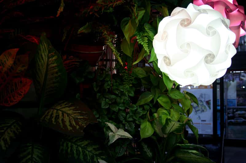 Really That Stupid facts