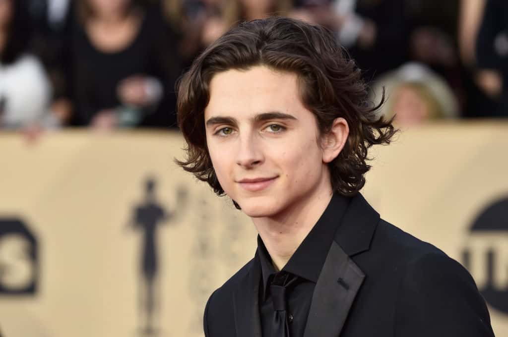 Timothee Chalamet in dark suit