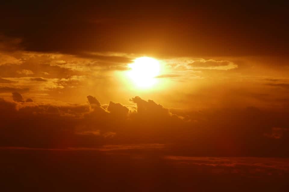 Really That Stupid facts