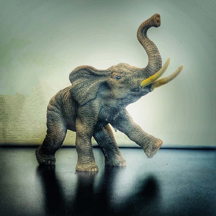 Strange Family Traditions Facts