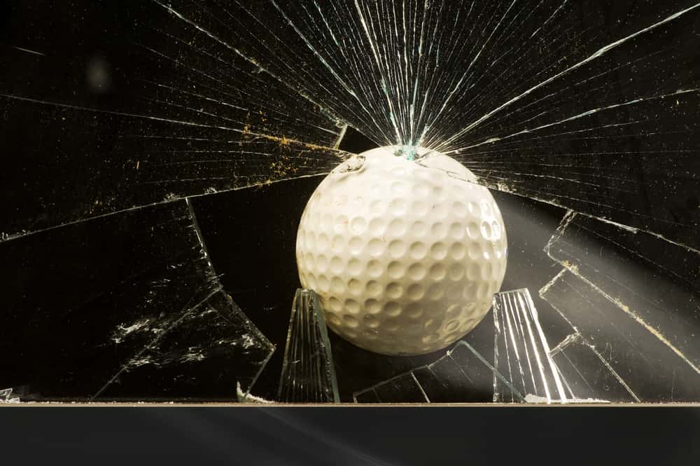 Stupid Rules Backfired facts