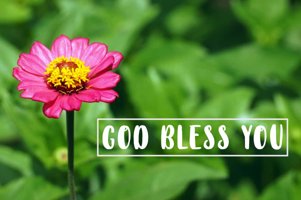 Strange Family Traditions Facts