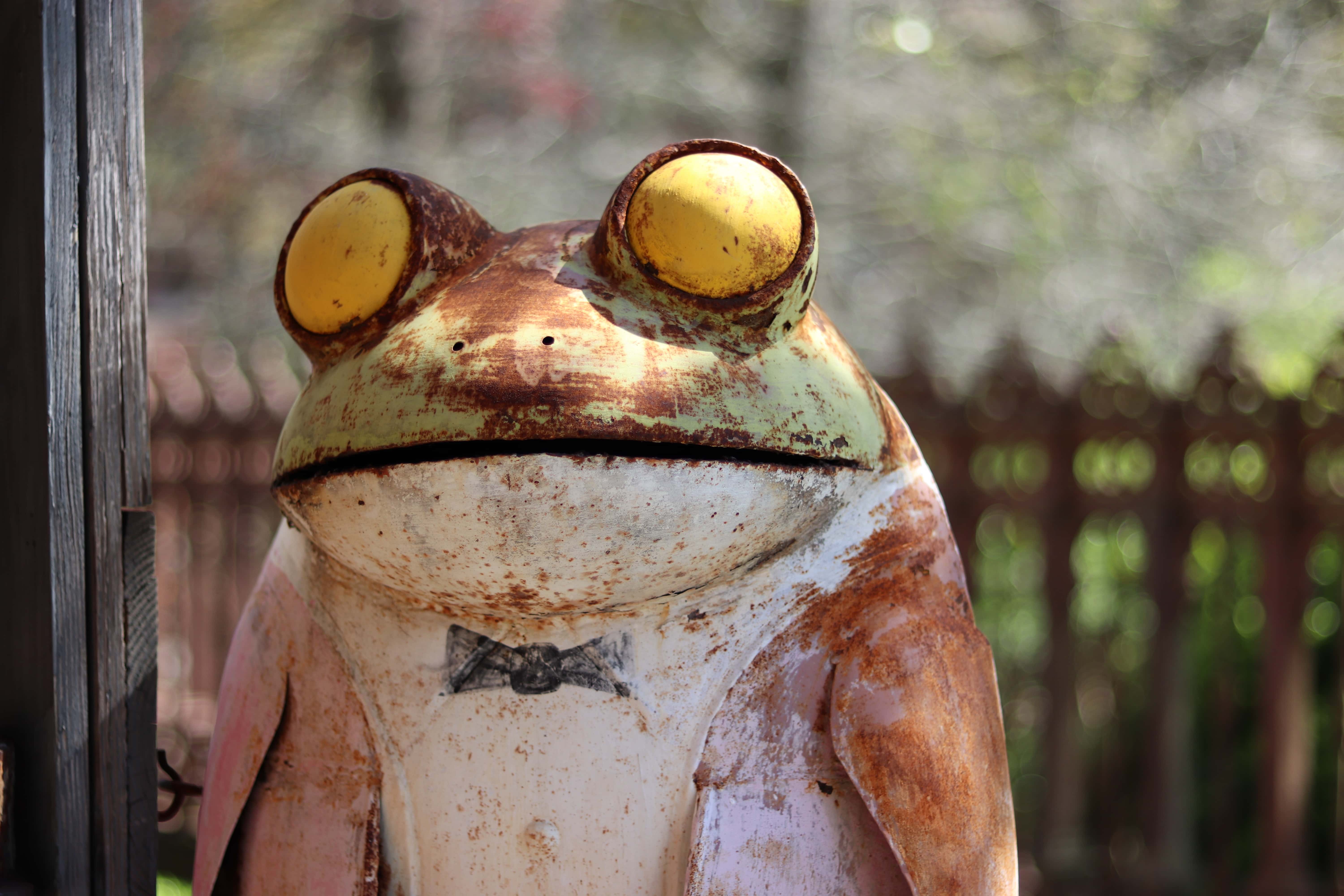 Wildest Things Found Inside Houses facts