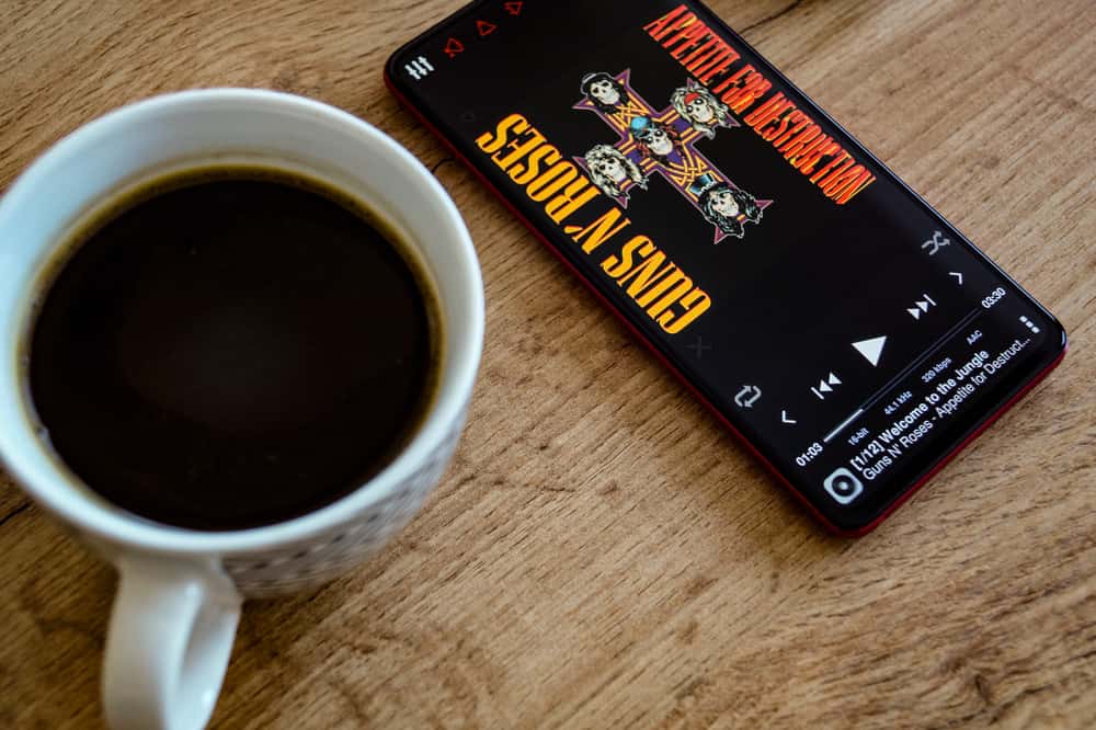 Guns N’ Roses Facts