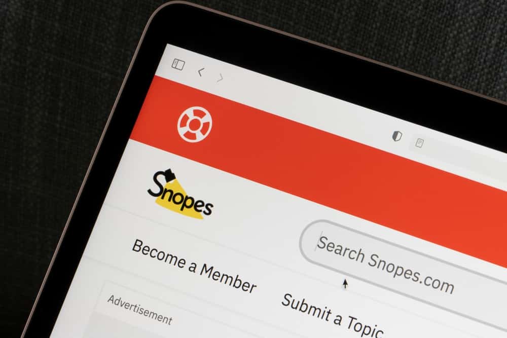 William Faulkner Facts