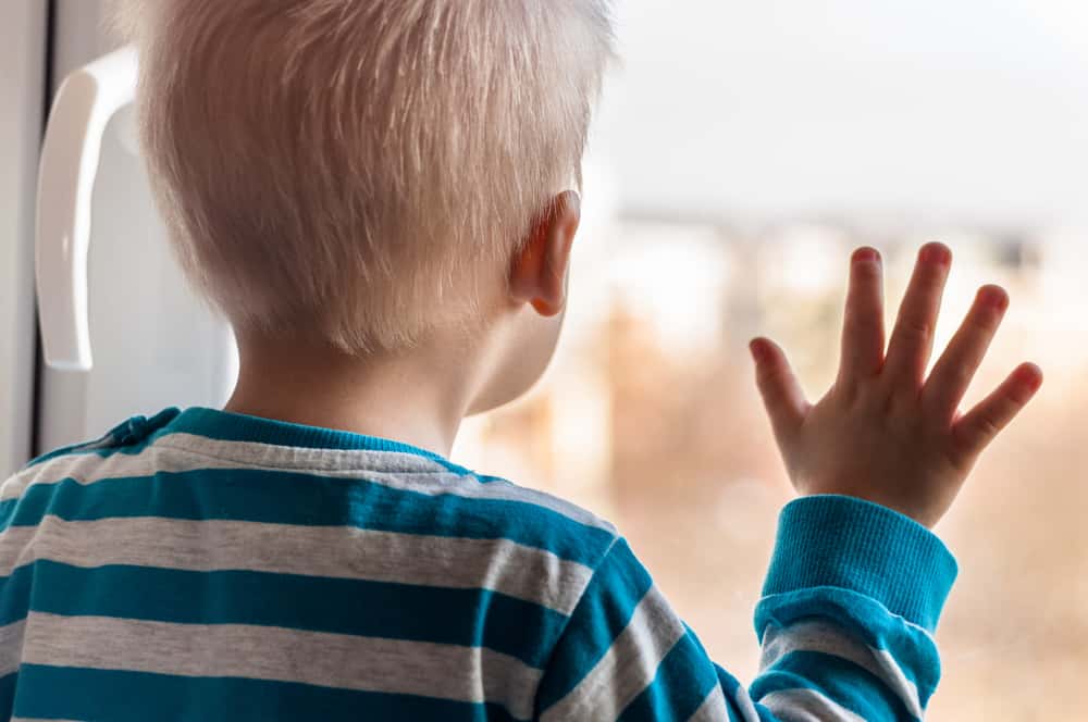 Stupid Rules Backfired facts