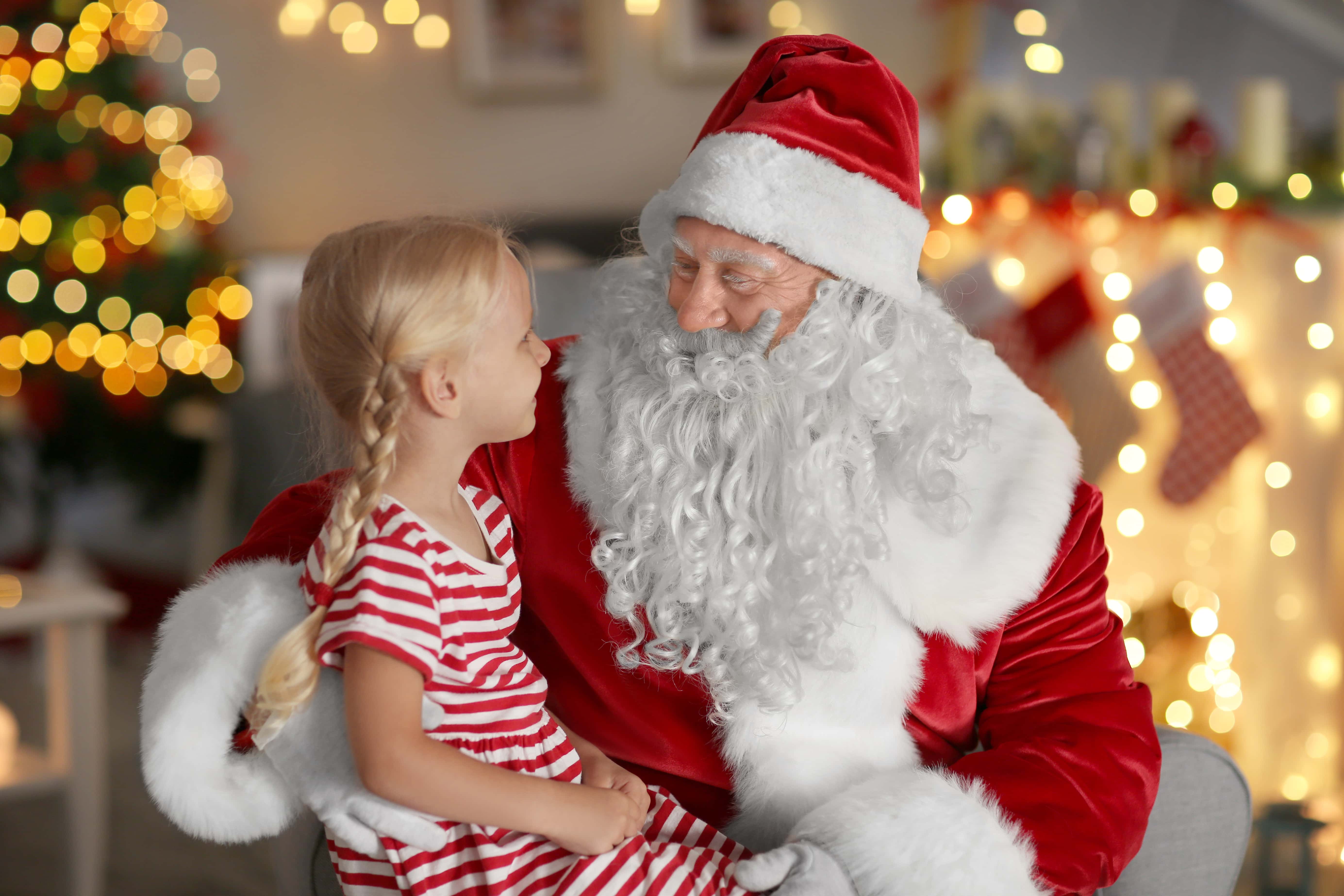 Mall Santa Experiences facts