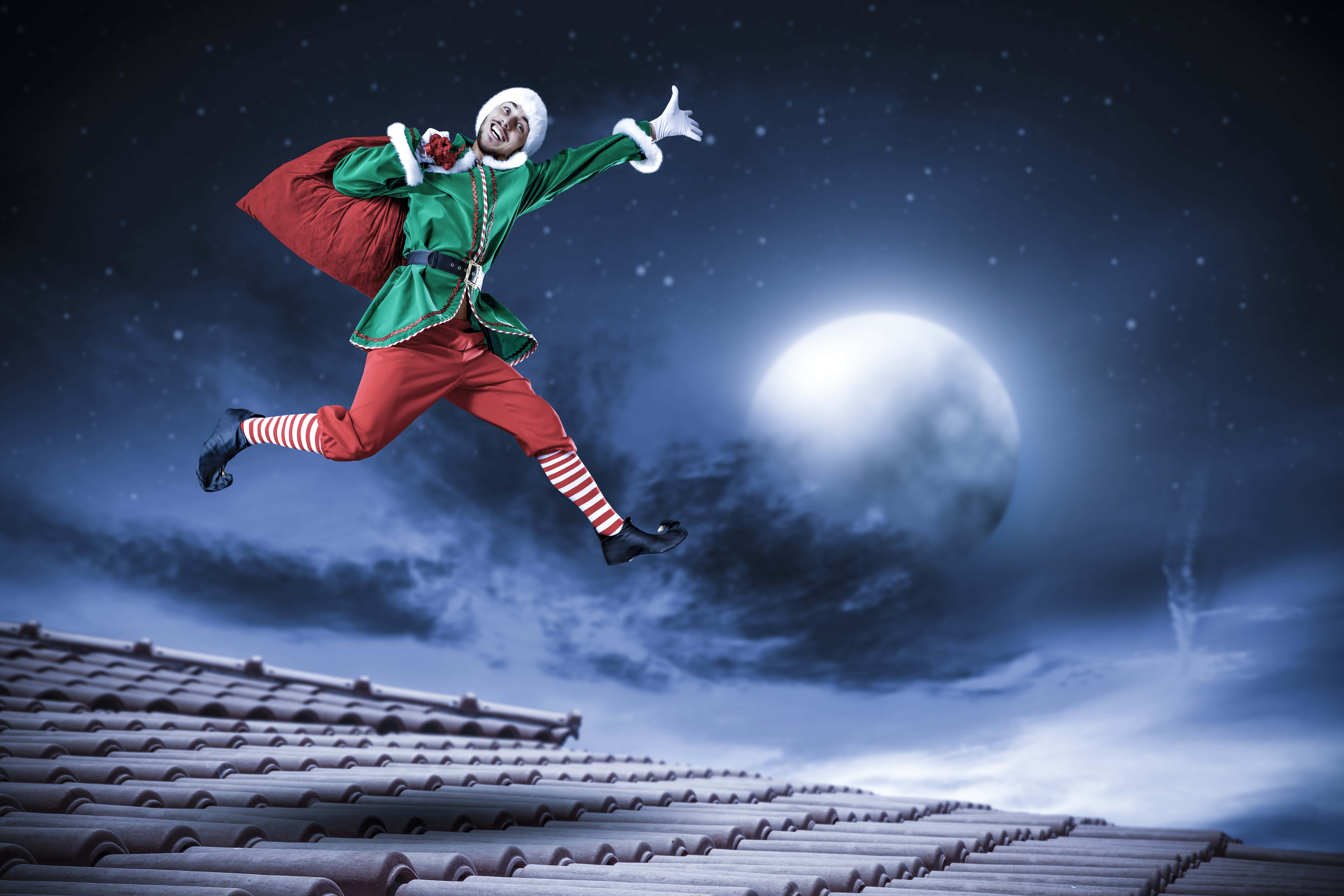 Mall Santa Experiences facts